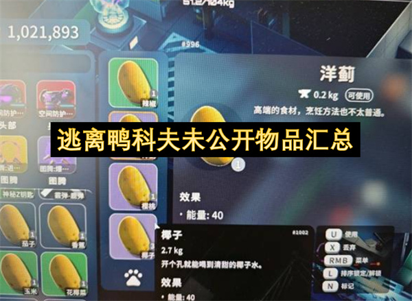 逃离鸭科夫未公开物品汇总