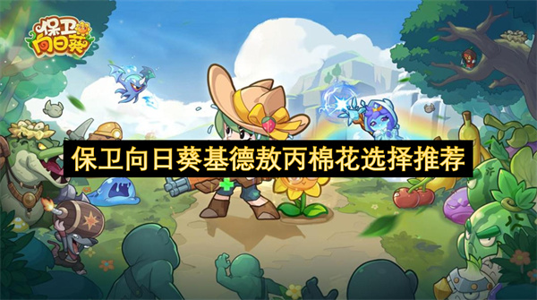 保卫向日葵基德敖丙棉花培养选择推荐