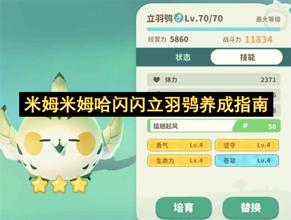 米姆米姆哈闪闪立羽鸮养成指南