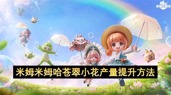 米姆米姆哈苍翠小花产量提升方法