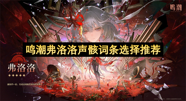 鸣潮弗洛洛声骸词条选择推荐