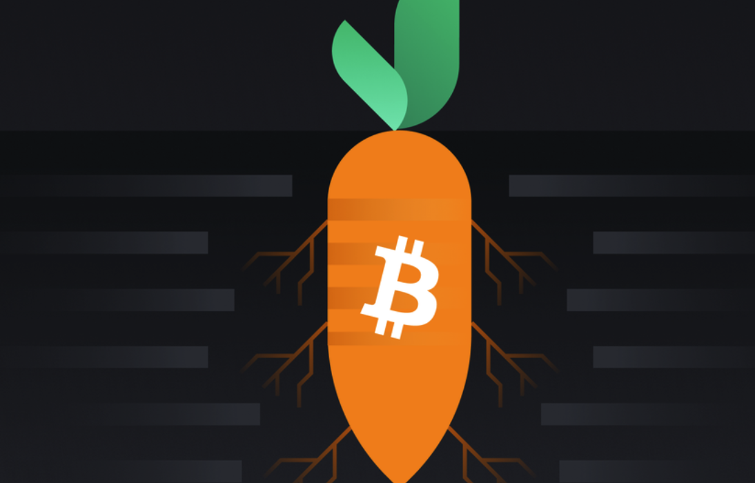 比特币Taproot升级是什么-Taproot如何提升隐私与效率