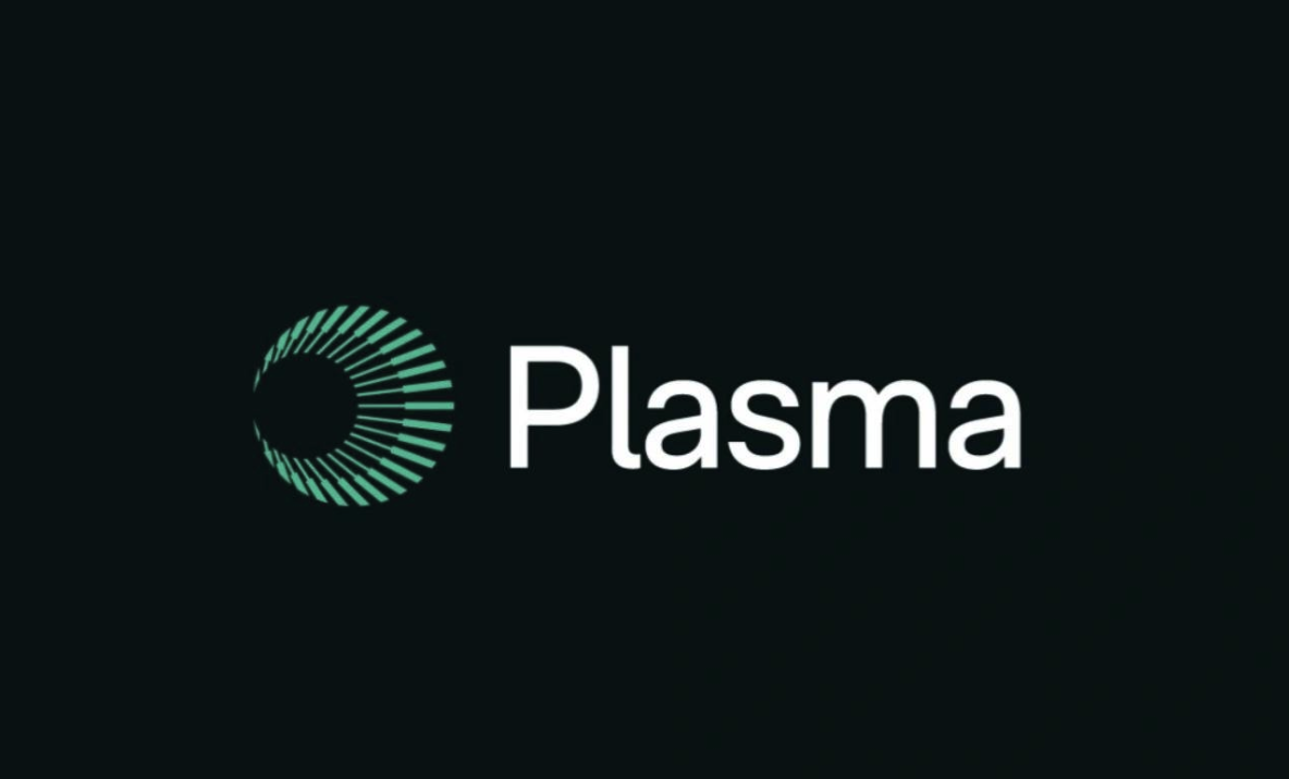 Plasma是什么-原生代币XPL的用途与分配是什么