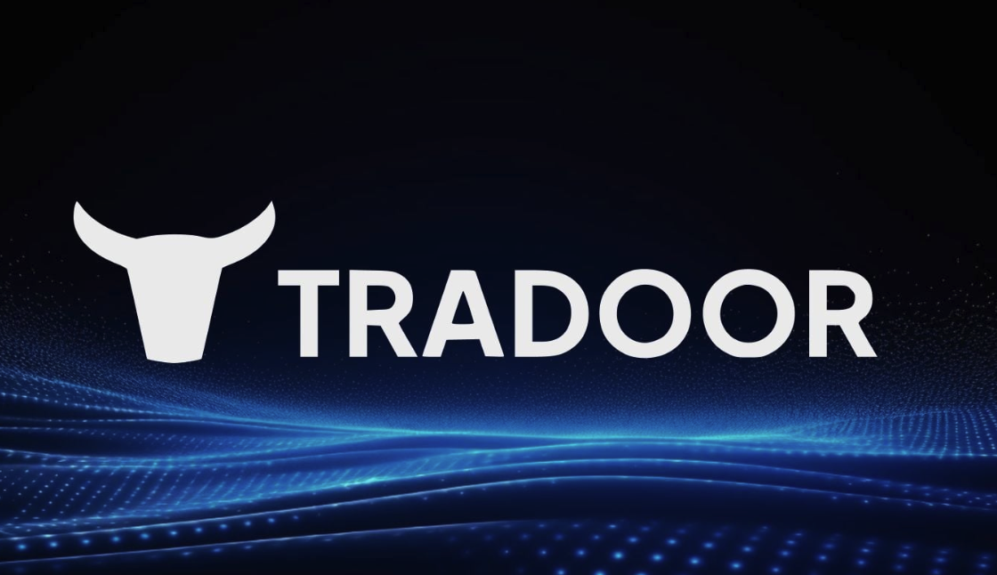 Tradoor币是什么-如何构建去中心化衍生品平台