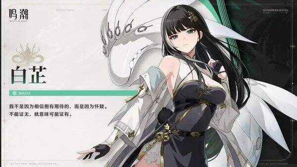 鸣潮白芷最佳阵容搭配