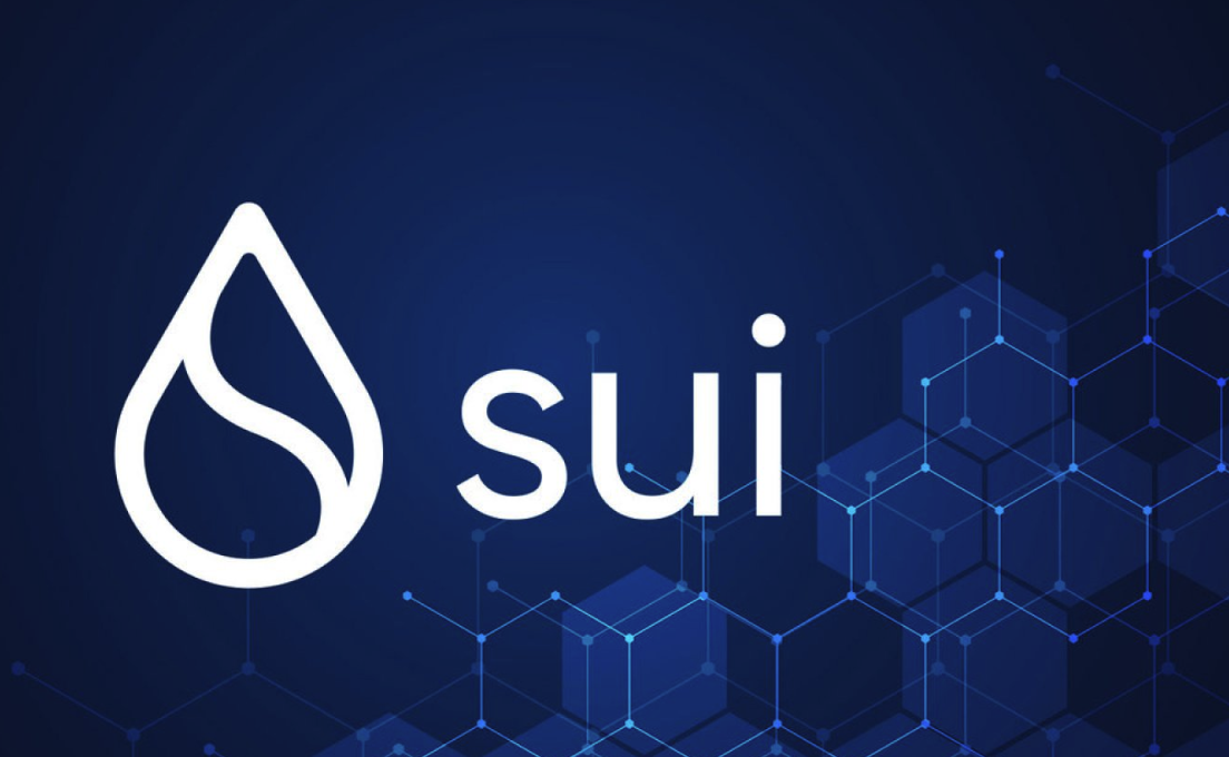 Sui隐私技术的ZK证明是什么-ZK证明如何保护用户数据