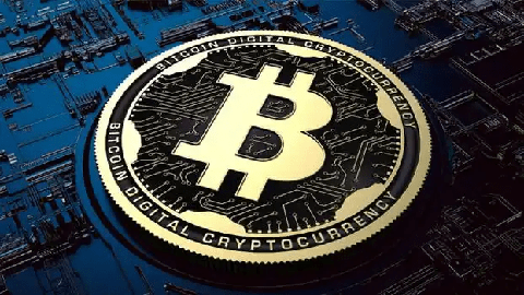 MoMA永久收藏CryptoPunks和Chromie Squiggles NFT的捐赠协调如何进行