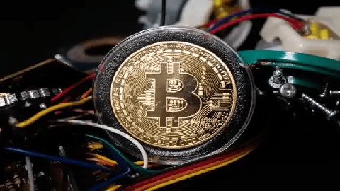 柴犬（SHIB）为什么没有被允许参加奔牛活动