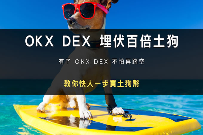OKX DEX 埋伏百倍土狗，如何使用OKX DEX 购买土狗币？图文教程