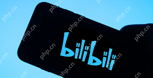 哔哩哔哩网页版直达入口-bilibili官网最新网址分享