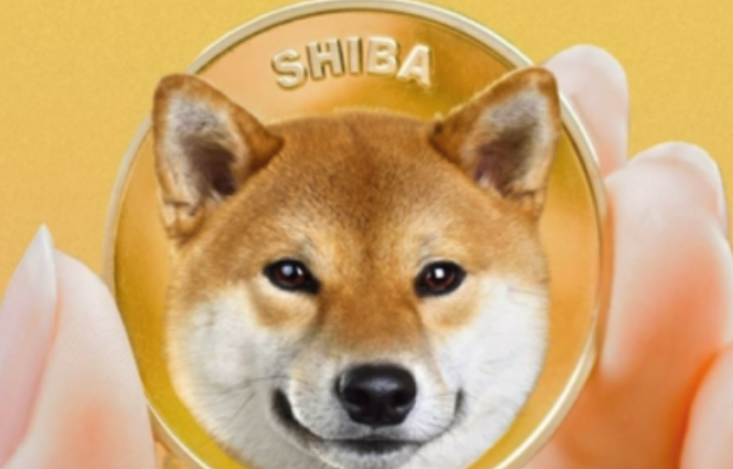 柴犬币怎么购买-哪些交易所可以安全买入柴犬币