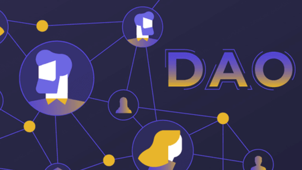 Solana DAO组织的投票机制是什么-Solana DAO的投票机制解析