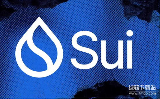 Sui治理的社区提案过程是什么-SUI持有者如何投票决策