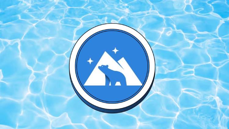 Kodiak Finance(KDK)币是什么?未来潜力如何?KDK代币经济与价格预测