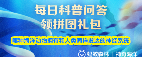 哪种海洋动物拥有和人类同样发达的神经系统