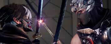 忍者龙剑传4舞动之死灵收集有什么