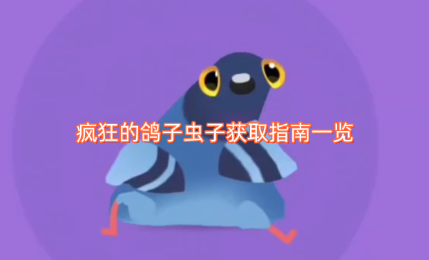 疯狂的鸽子虫子获取指南一览
