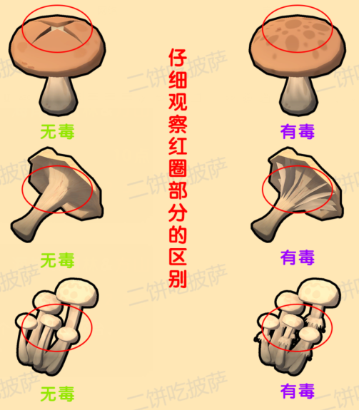 PEAK游戏怎么识别蘑菇有没有毒