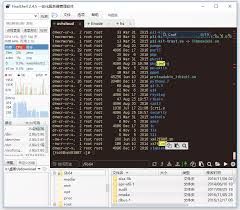 FinalShell怎么连接windows远程桌面