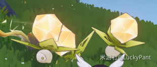 原神别掉地上成就攻略