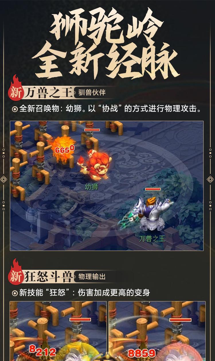 《梦幻西游幼狮技能加点攻略》（解析幼狮技能加点的最佳方法，让你的幼狮变得更强大）