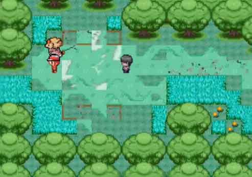 口袋妖怪迷之规则旧道废墟怎么进？