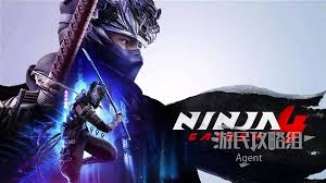 忍者龙剑传4极黑之翼收集有什么