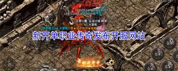 新开195刺影传奇发布网站是什么