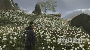 羊蹄山之魂四时头带怎么获得