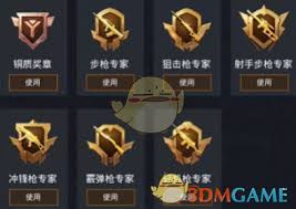 和平精英如何获取军备团竞专家徽章