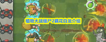 植物大战僵尸2马年生肖植物有哪些