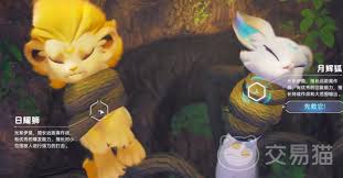 伊莫日耀狮宠物怎么介绍