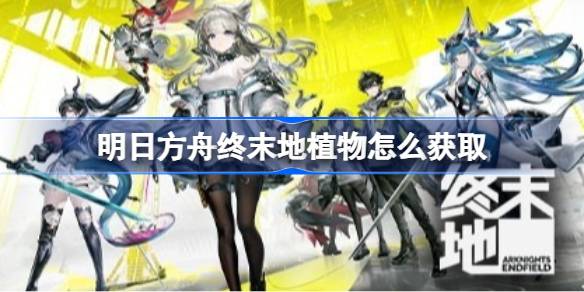 明日方舟终末地全植物产线蓝图一览