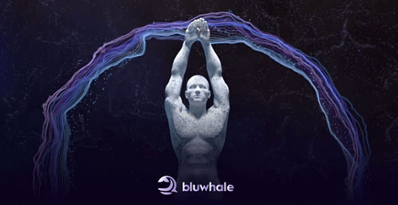 币安 Alpha 新项目 Bluwhale是什么？一文深度解析