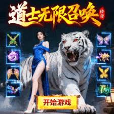 兵王ol宠物魔法阵怎么玩