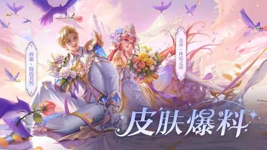 王者荣耀大乔孙策星传说皮肤可以买吗值得入手吗