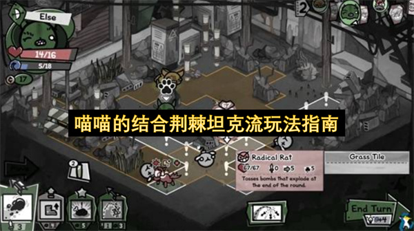 喵喵的结合荆棘坦克流玩法指南