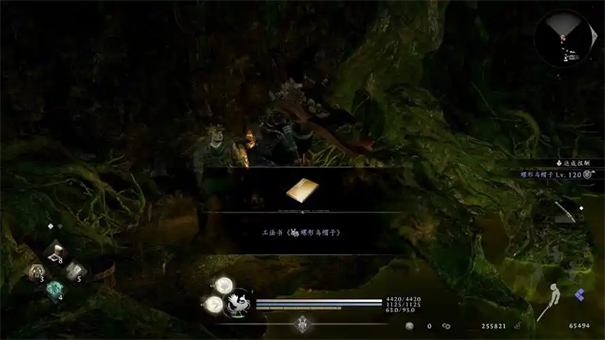 仁王3尽得真传成就攻略