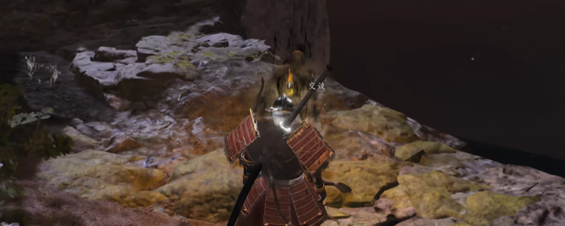 《仁王3》寄托于药中的思念支线任务做法介绍