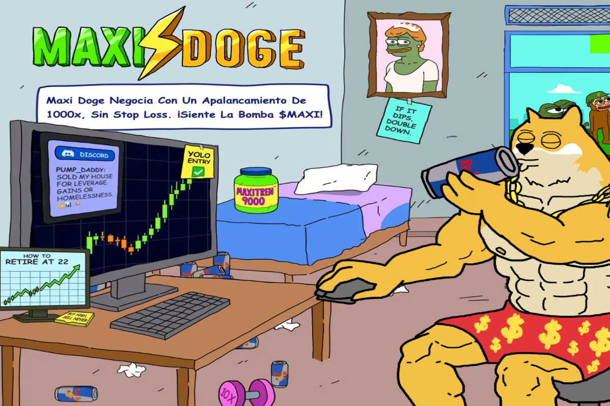 PUNCH飙升超过1400倍：接下来会怎样？