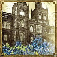 噬血代码2盛放的生命成就奖杯如何做