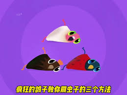 疯狂的鸽子pigeonpop如何刷虫子