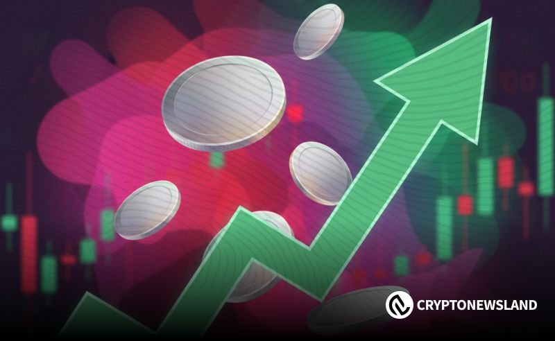 暴风雨前的宁静？若本轮山寨币能涨百倍，这5种代币值得持有