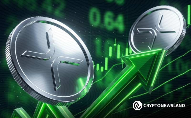 山寨币XRP价格持续暴涨，引发市场对其潜力与前景的广泛关注