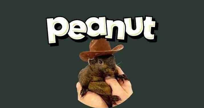 PNUT币价格预测:松鼠币(PNUT)是什么能否达到$10？