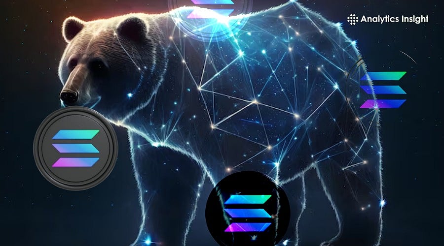 为什么Solana的熊市不应持续观望？