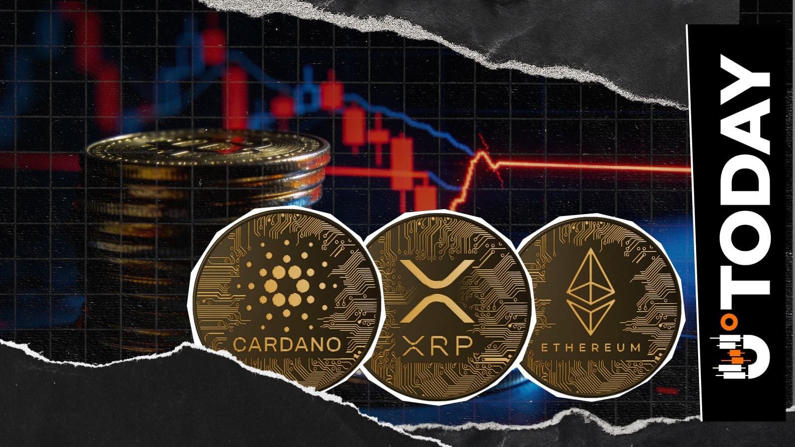Cardano、XRP、Ethereum 和其他山寨币的受欢迎程度暴跌：还有人需要它们吗？