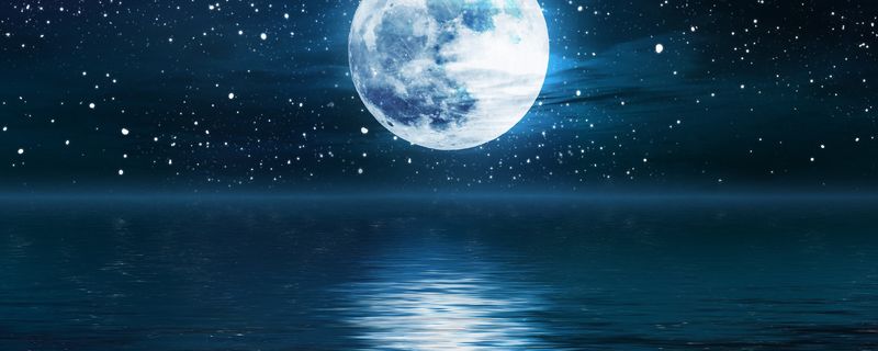 六便士和月亮是什么含义-六便士和月亮的梗解析