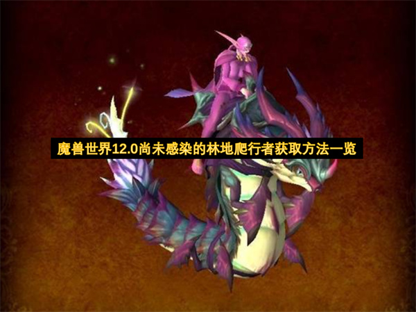 魔兽世界12.0尚未感染的林地爬行者获取方法一览