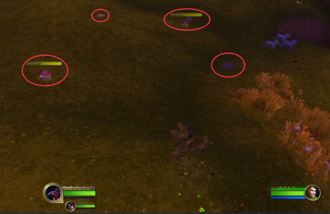 魔兽世界奔踏的陆行鸟任务攻略